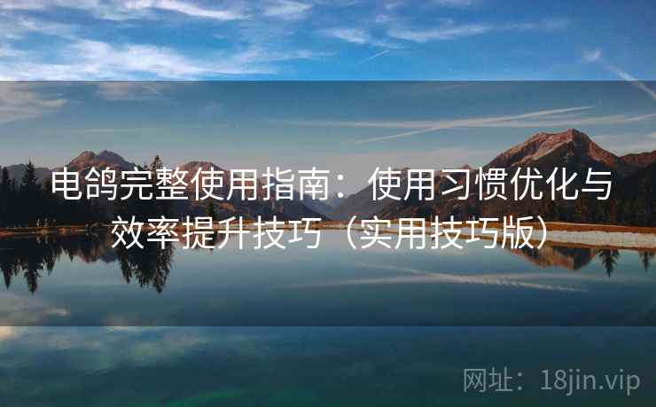 电鸽完整使用指南：使用习惯优化与效率提升技巧（实用技巧版）