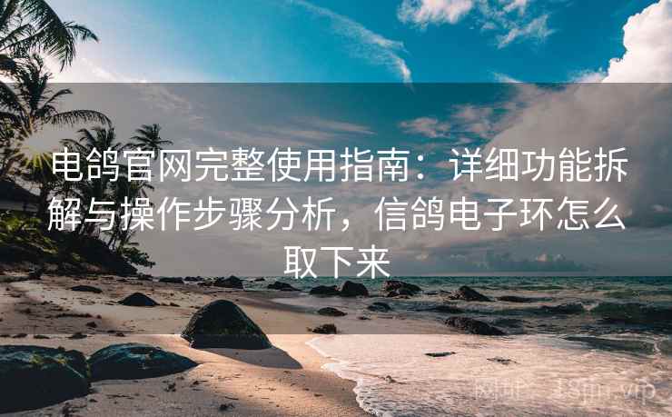 电鸽官网完整使用指南:详细功能拆解与操作步骤分析,信鸽电子环怎么取下来 电鸽官网完整使用指南:详细功能拆解与操作步骤分析,信鸽电子环怎么取下来