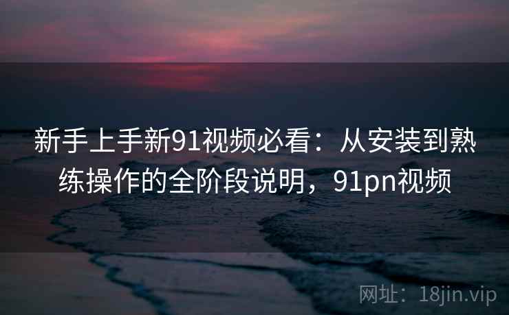 新手上手新91视频必看：从安装到熟练操作的全阶段说明，91pn视频