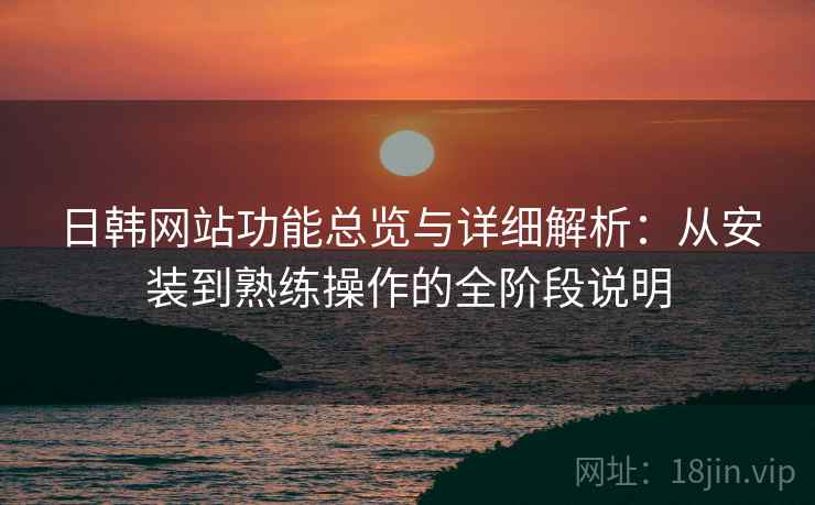 日韩网站功能总览与详细解析：从安装到熟练操作的全阶段说明