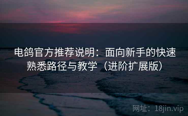 电鸽官方推荐说明：面向新手的快速熟悉路径与教学（进阶扩展版）