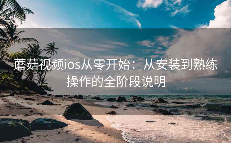 蘑菇视频ios从零开始：从安装到熟练操作的全阶段说明