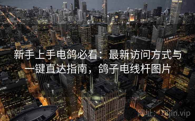 新手上手电鸽必看：最新访问方式与一键直达指南，鸽子电线杆图片