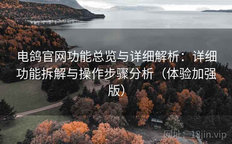 电鸽官网功能总览与详细解析：详细功能拆解与操作步骤分析（体验加强版）