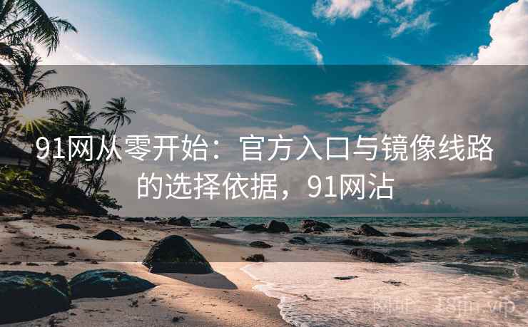 91网从零开始：官方入口与镜像线路的选择依据，91网沾
