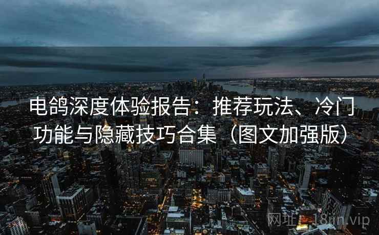 电鸽深度体验报告：推荐玩法、冷门功能与隐藏技巧合集（图文加强版）