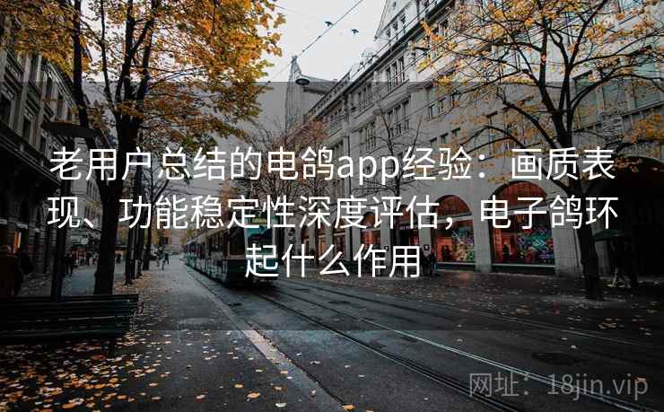 老用户总结的电鸽app经验:画质表现、功能稳定性深度评估,电子鸽环起什么作用 老用户总结的电鸽app经验:画质表现、功能稳定性深度评估,电子鸽环起什么作用