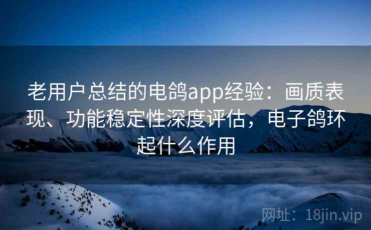老用户总结的电鸽app经验：画质表现、功能稳定性深度评估，电子鸽环起什么作用