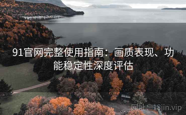 91官网完整使用指南：画质表现、功能稳定性深度评估