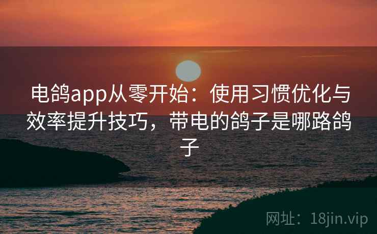 电鸽app从零开始：使用习惯优化与效率提升技巧，带电的鸽子是哪路鸽子