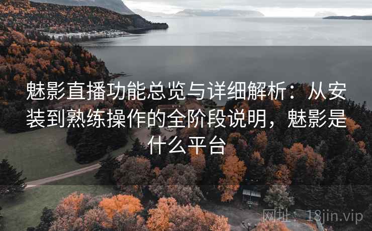 魅影直播功能总览与详细解析：从安装到熟练操作的全阶段说明，魅影是什么平台